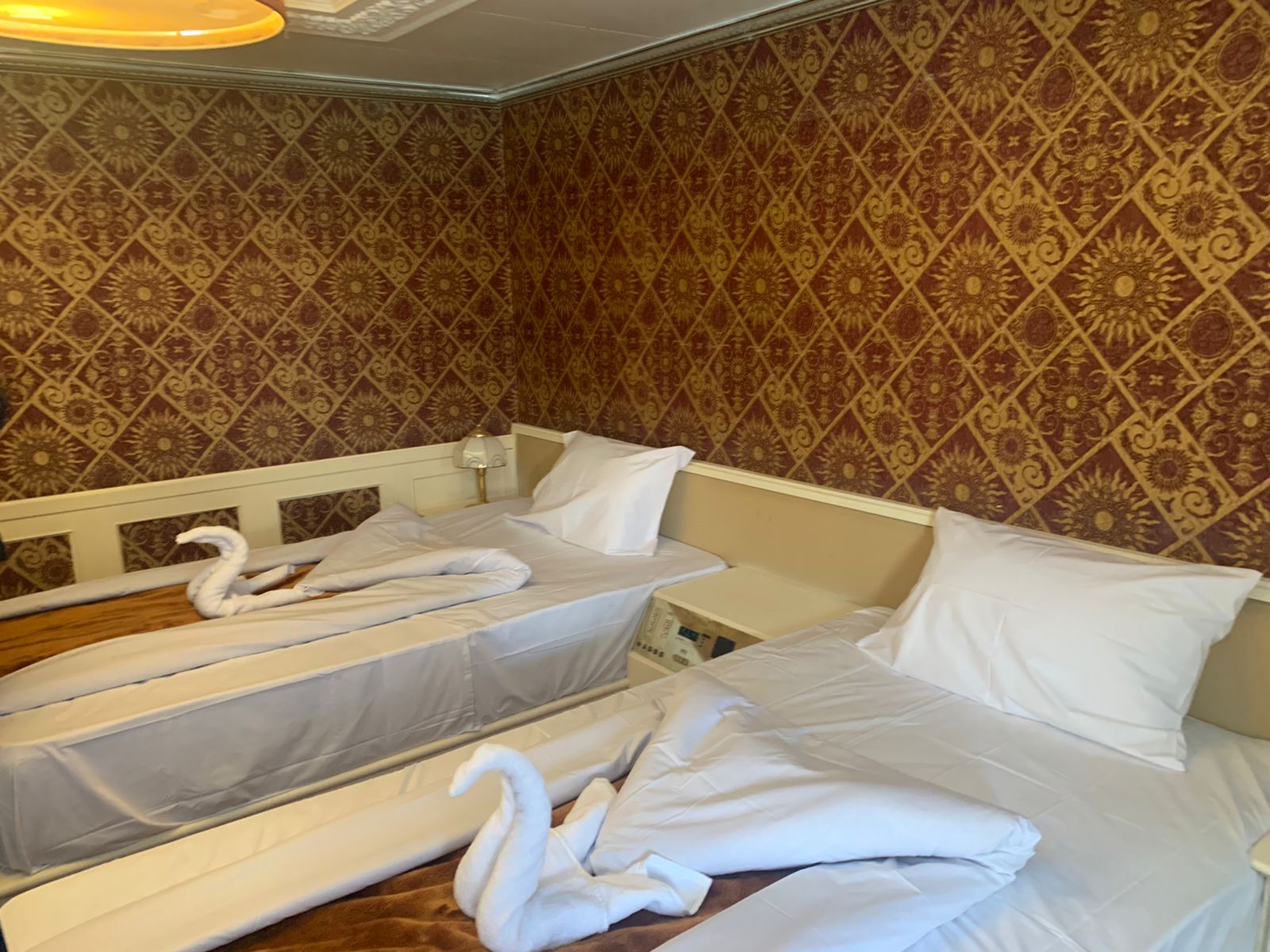 daleela 19 06 2022 breef 4