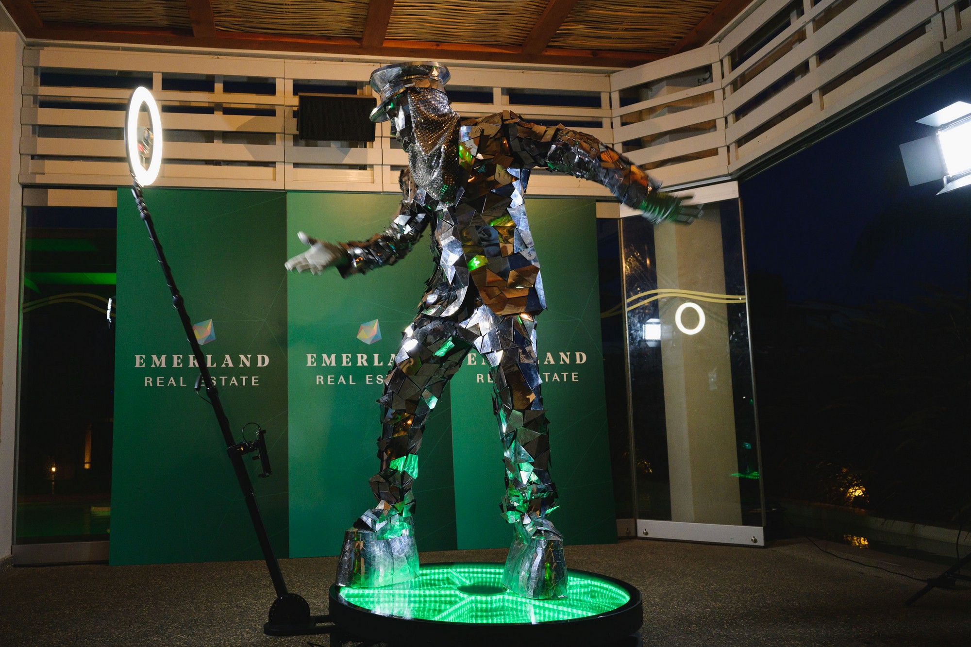 Emerland Real Estate 8