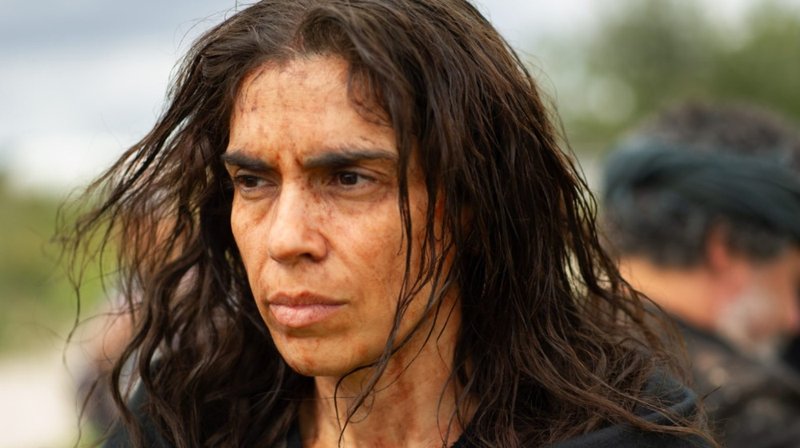 MixCollage 14 Apr 2025 04 30 PM 9583.width 800