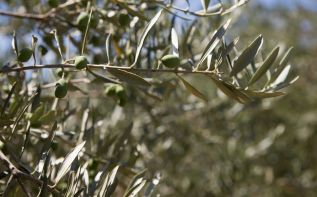 Фото freepik.com