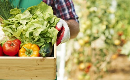 Фото freepik.com