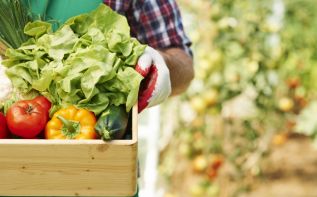 Фото freepik.com