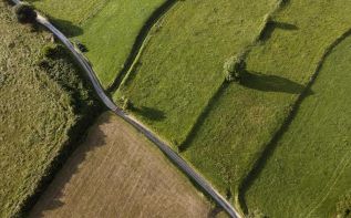 Фото freepik.com