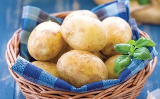 Фото: freepik.com