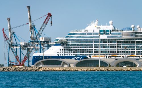 Фото: Кирилл Макаров / 9251.pics