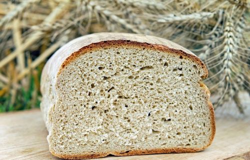 Фото pixabay.com