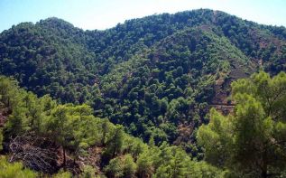 Первый тендер на застройку Троодоса