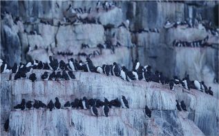 At the Edge of the World: The Arctic – A Place Where You Are Not Allowed to Die