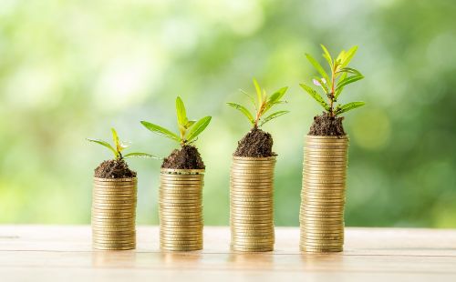 Фото freepik.com