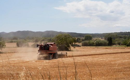 Фото freepik.com