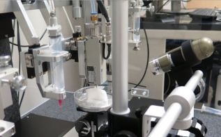 17 научных мгновений