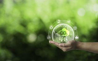 Фото freepik.com