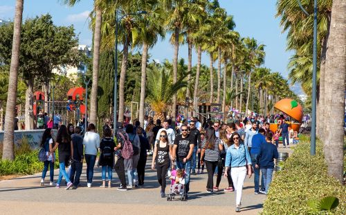 Фото: Юлия Аванесова