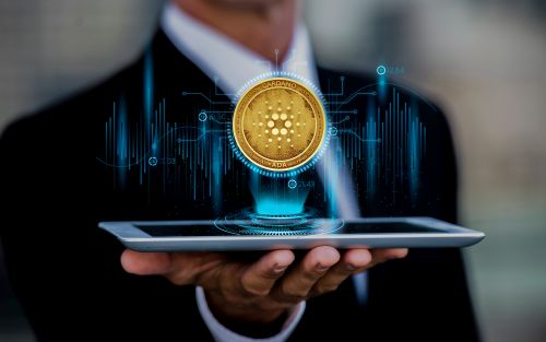 Фото freepik.com