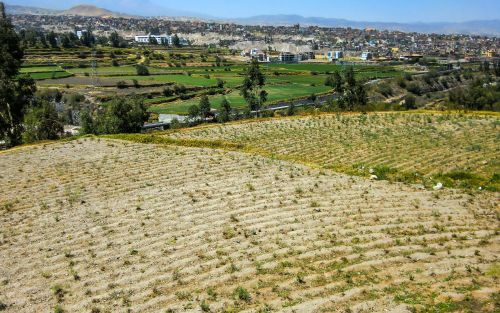 Фото freepik.com