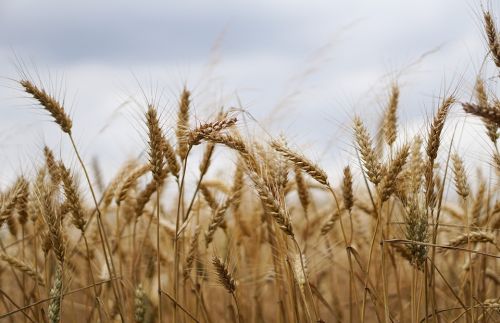 Фото freepik.com