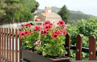 Фото pixabay.com