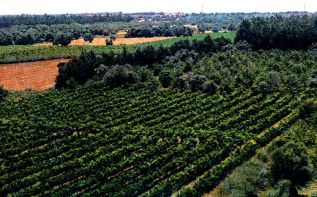 Большие деньги для сельского хозяйства